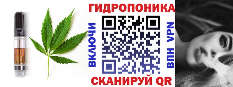 купить закладку  Миньяр  Cannafood конопля 