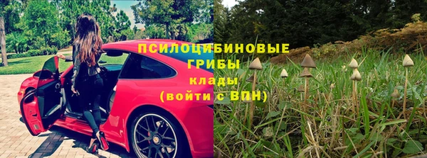 спиды Алексин